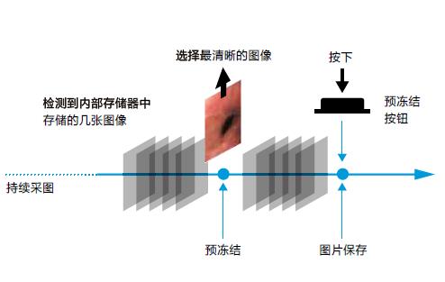 預(yù)凍結(jié)功能
